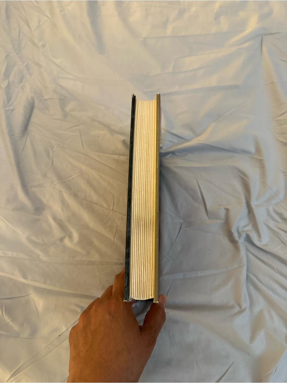 The Vampire Armand Hardcover – Dark Brown Cover - Picture 6 of 6